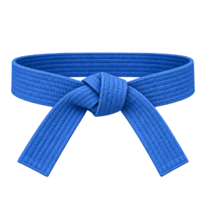 combat-kyeok-too-ki-guertel-5-kup-blau