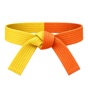 combat-kyeok-too-ki-guertel-8-kup-gelb-orange