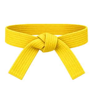 combat-kyeok-too-ki-guertel-9-kup-gelb
