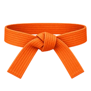 combat-kyeok-too-ki-guertel-7-kup-orange