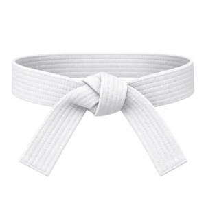 combat-kyeok-too-ki-guertel-10-kup-weiss